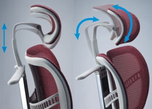 fly-podgolovnik.jpg fly-podgolovnik.jpg