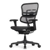 Ортопедическое кресло Falto Ergohuman 2 Project